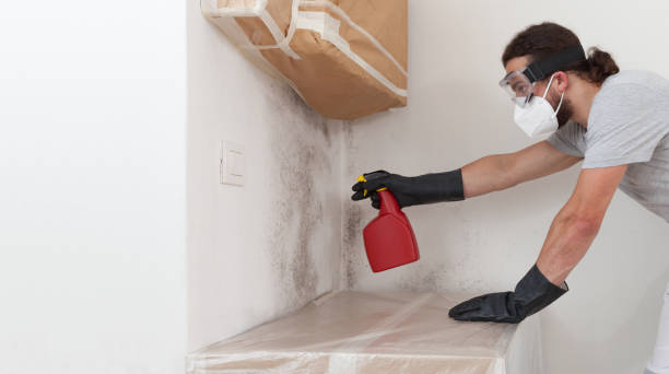 Professional Crawl Space Mold Removal technician working in Saint Charles, IL
