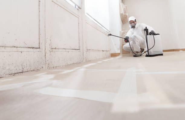 24/7 Emergency Crawl Space Mold Removal experts in Saint Charles, IL